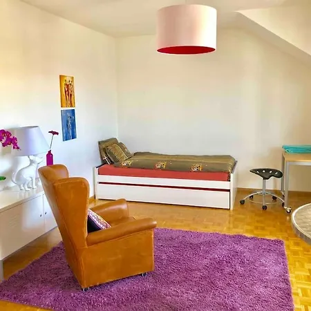 Ganze Mit Balkon,schoene Aussicht,kueche,bad,wifi Apartment Basel
