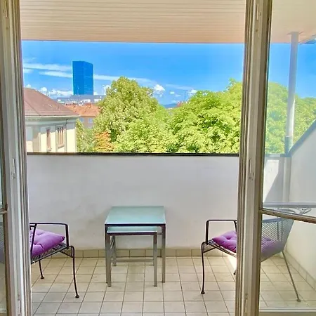 Ganze Mit Balkon,schoene Aussicht,kueche,bad,wifi Apartment Basel