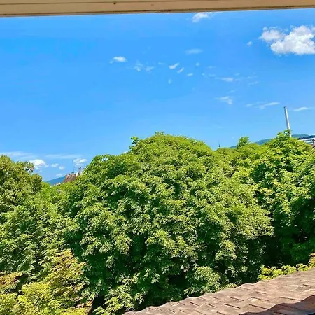 Ganze Mit Balkon,schoene Aussicht,kueche,bad,wifi Apartment